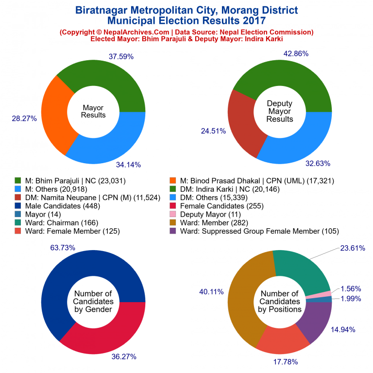 2017 local body election results piechart of Biratnagar Metropolitan City