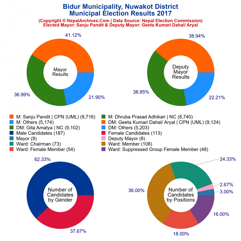 2017 local body election results piechart of Bidur Municipality