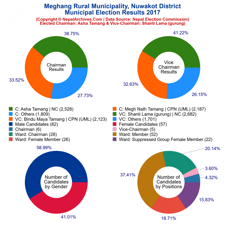 2017 local body election results piechart of Meghang Rural Municipality
