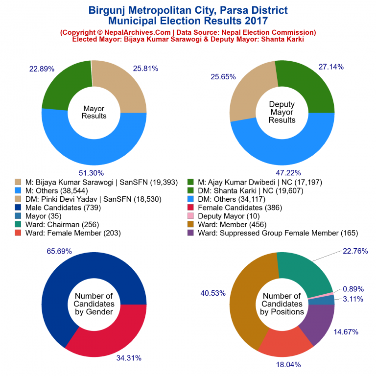 2017 local body election results piechart of Birgunj Metropolitan City