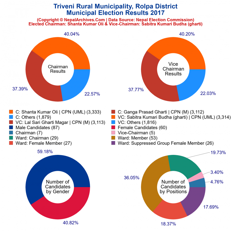 2017 local body election results piechart of Triveni Rural Municipality