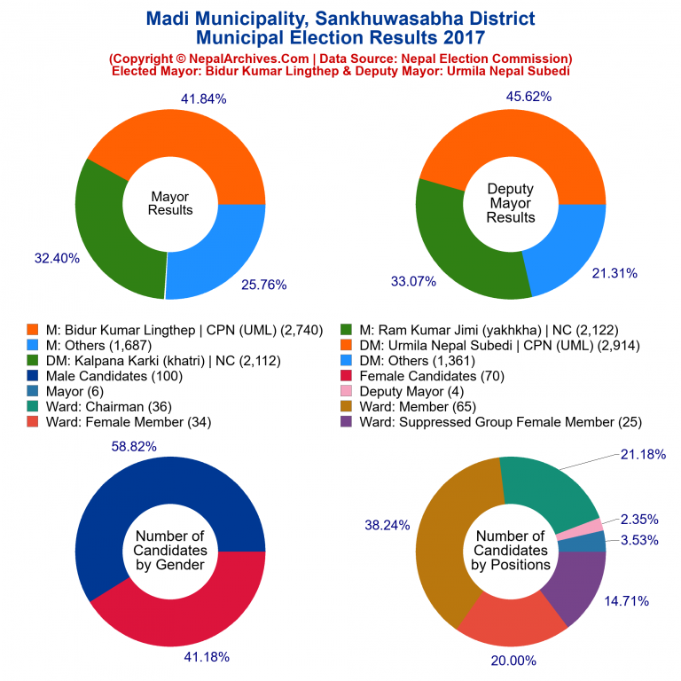 2017 local body election results piechart of Madi Municipality