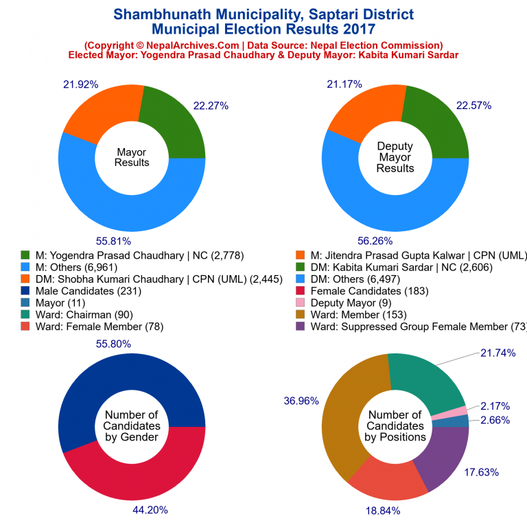 2017 local body election results piechart of Shambhunath Municipality