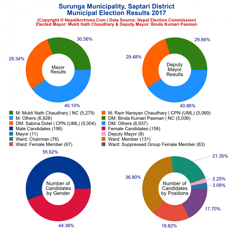 2017 local body election results piechart of Surunga Municipality