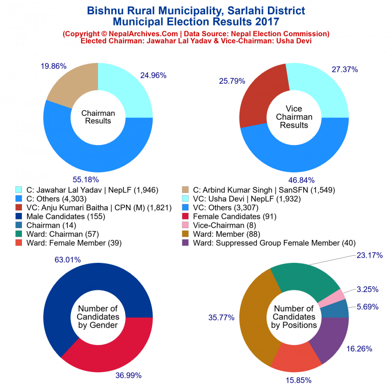 2017 local body election results piechart of Bishnu Rural Municipality