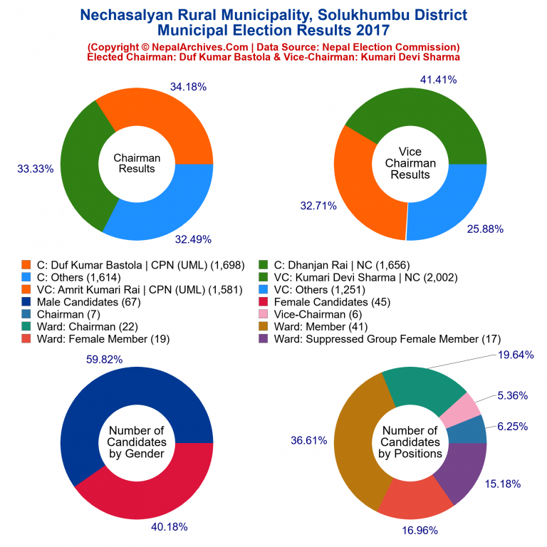 2017 local body election results piechart of Nechasalyan Rural Municipality