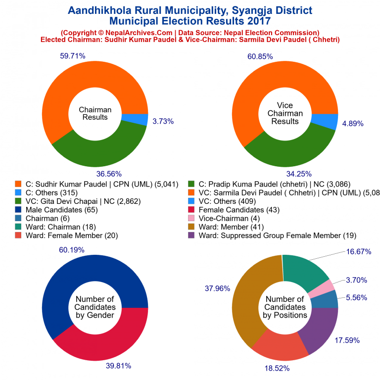 2017 local body election results piechart of Aandhikhola Rural Municipality