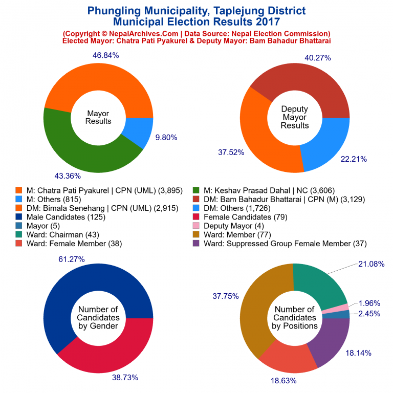 2017 local body election results piechart of Phungling Municipality