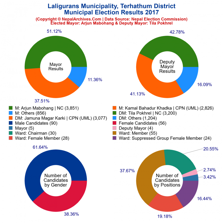 2017 local body election results piechart of Laligurans Municipality